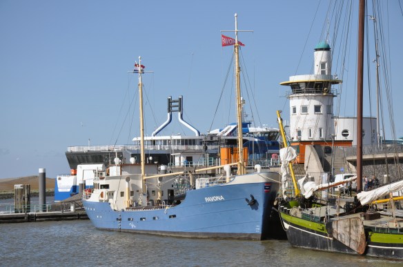 DSC_6739 Pavona 5064233 ex Pavonis ©Riemer van Bolhuis, Harlingen 7 juli 2021