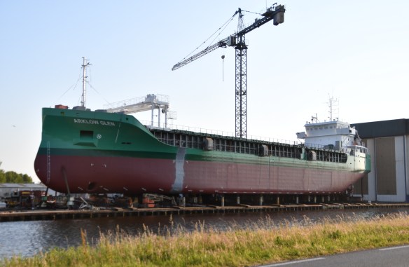 Arklow Glen - Imonr 9874090_dd 20230608_RZ (1)